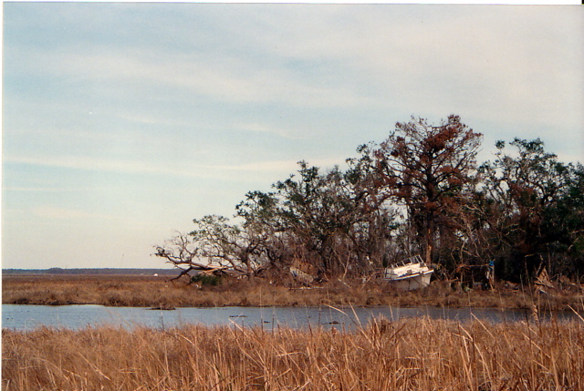 marsh-boat