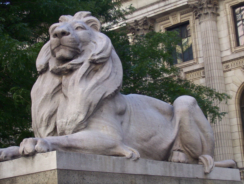 Library Lion