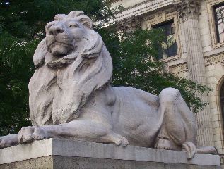 Library Lion